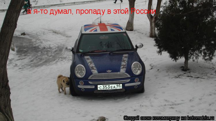 Котоматрица: а я-то думал, пропаду в этой России