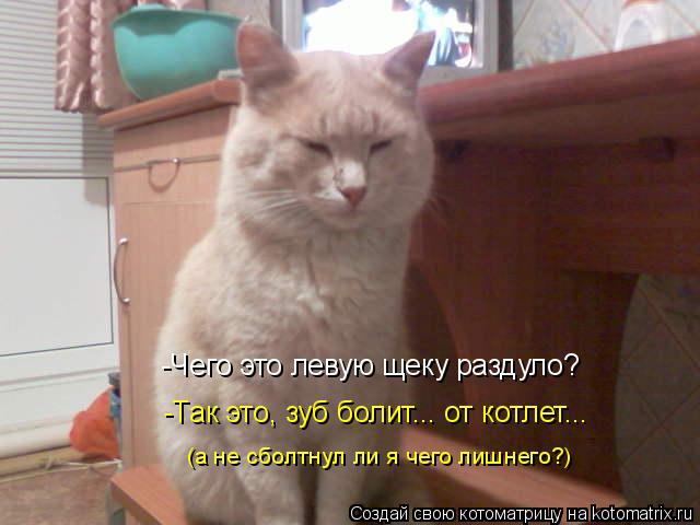 Котоматрица: -Чего это левую щеку раздуло? -Так это, зуб болит... от котлет... (а не сболтнул ли я чего лишнего?)