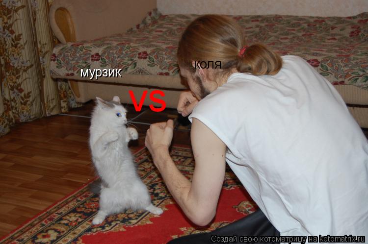 Котоматрица: мурзик vs коля