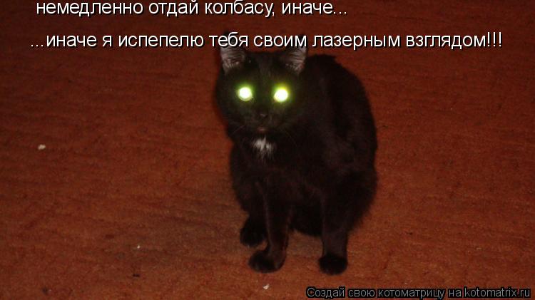Котоматрица: немедленно отдай колбасу, иначе... ...иначе я испепелю тебя своим лазерным взглядом!!!