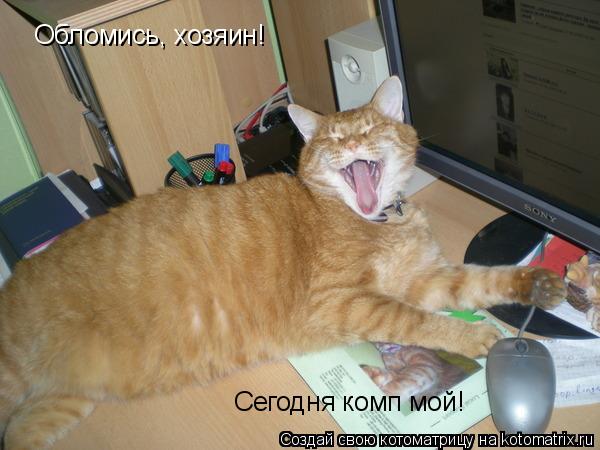 Котоматрица: Обломись, хозяин! Сегодня комп мой!