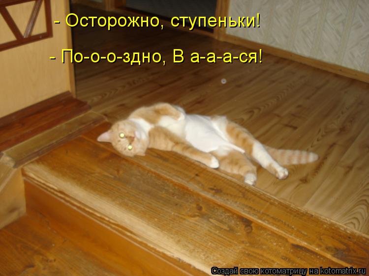 Котоматрица: - По-о-о-здно, В а-а-а-ся! - Осторожно, ступеньки!