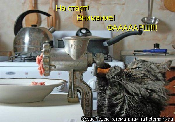 Котоматрица: На старт! Внимание! ФАААААРШ!!!