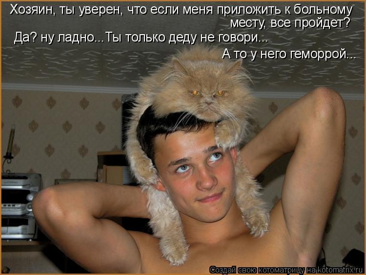 Котоматрица: Хозяин, ты уверен, что если меня приложить к больному  месту, все пройдет?  Да? ну ладно...Ты только деду не говори... А то у него геморрой...