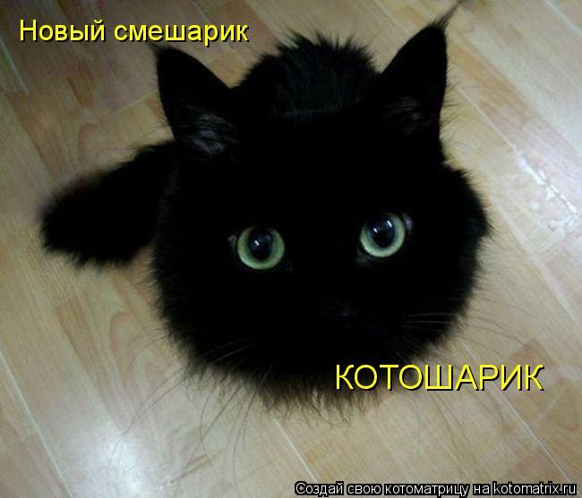 Котоматрица: Новый смешарик КОТОШАРИК