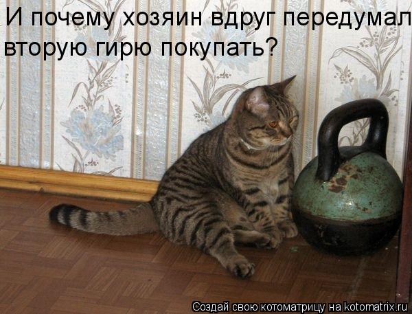 Котоматрица: И почему хозяин вдруг передумал вторую гирю покупать?