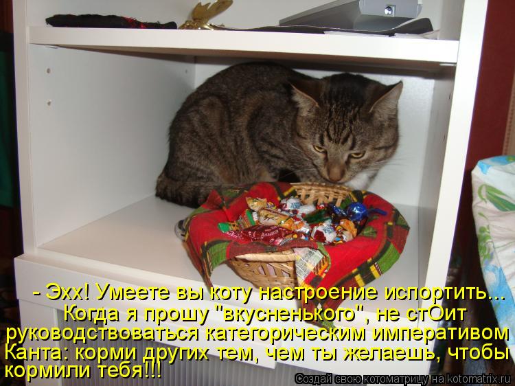Котоматрица: - Эхх! Умеете вы коту настроение испортить... Когда я прошу "вкусненького", не стОит  руководствоваться категорическим императивом Канта: кор