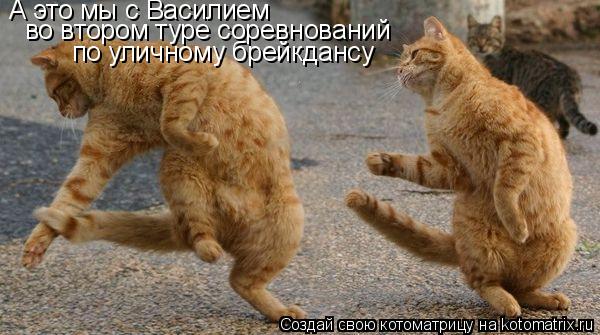 Котоматрица: по уличному брейкдансу А это мы с Василием во втором туре соревнований