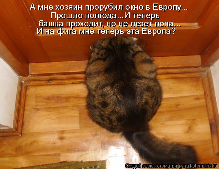 А мне хозяин прорубил окно в Европу... Прошло полгода...И теперь башка проходит, но не лезет попа...... Котоматрица: А мне хозяин прорубил окно в Европу... Прошло полгода...И теперь башка проходит, но не лезет попа... И на фига мне теперь эта Европа?