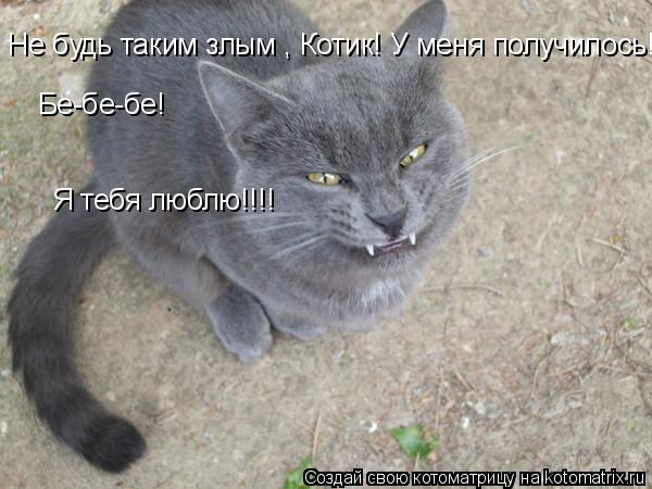 Котоматрица: Не будь таким злым , Котик! У меня получилось!!!!!!!!!!!!!!!!!!!!!!!!!!!!!!!!!!!!!! Бе-бе-бе!  Я тебя люблю!!!!