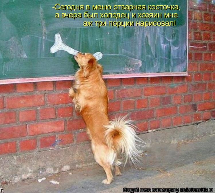 Котоматрица: -Сегодня в меню отварная косточка, а вчера был холодец и хозяин мне  аж три порции нарисовал!