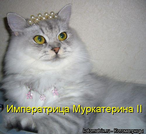 Котоматрица: Императрица Муркатерина II