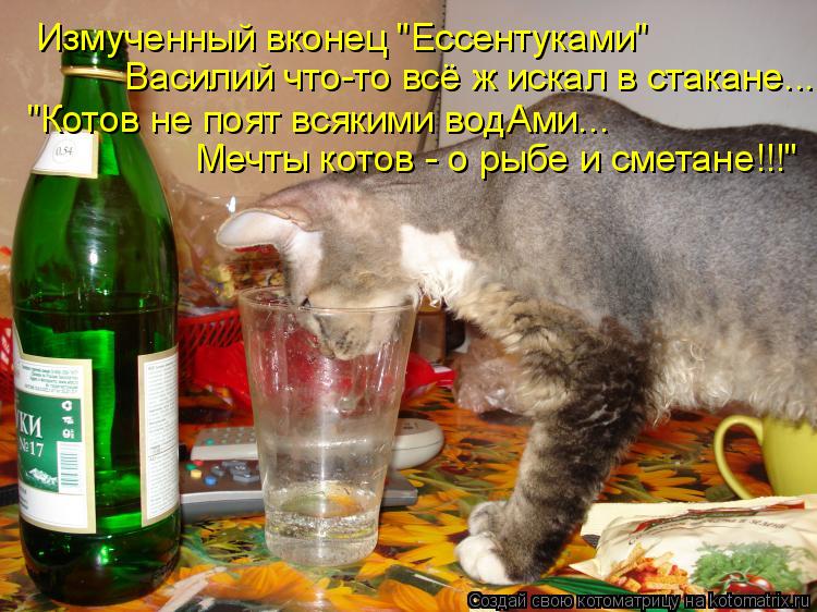 Котоматрица: Измученный вконец "Ессентуками" Василий что-то всё ж искал в стакане... "Котов не поят всякими водАми... Мечты котов - о рыбе и сметане!!!"