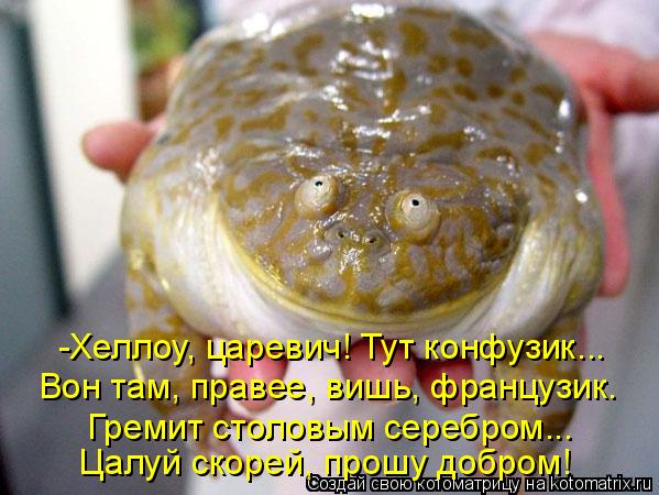Котоматрица: -Хеллоу, царевич! Тут конфузик... Вон там, правее, вишь, французик. Гремит столовым серебром... Цалуй скорей, прошу добром!