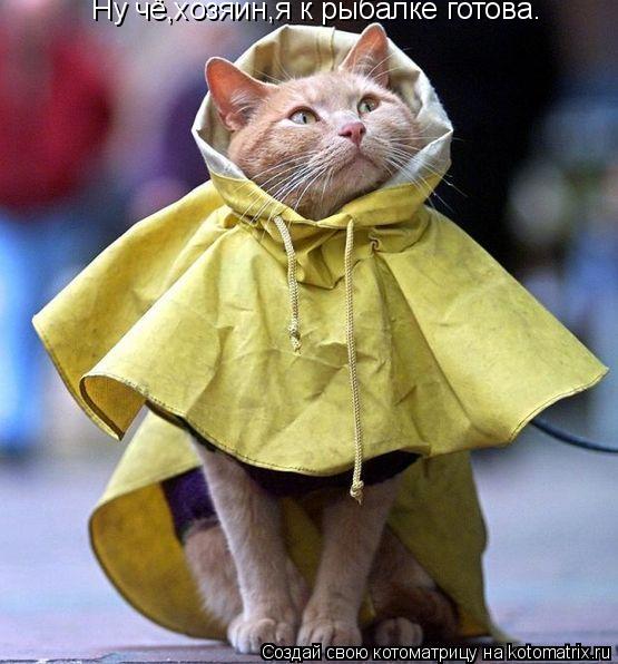 Котоматрица: Ну чё,хозяин,я к рыбалке готова.