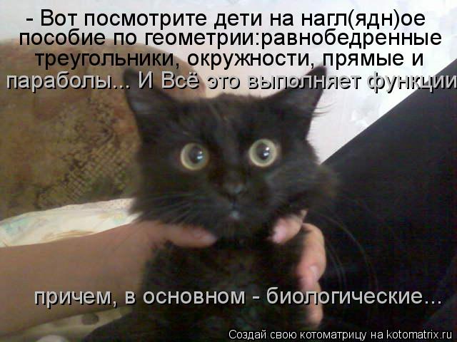 Котоматрица: - Вот посмотрите дети на нагл(ядн)ое  пособие по геометрии:равнобедренные  треугольники, окружности, прямые и параболы... И Всё это выполняет 
