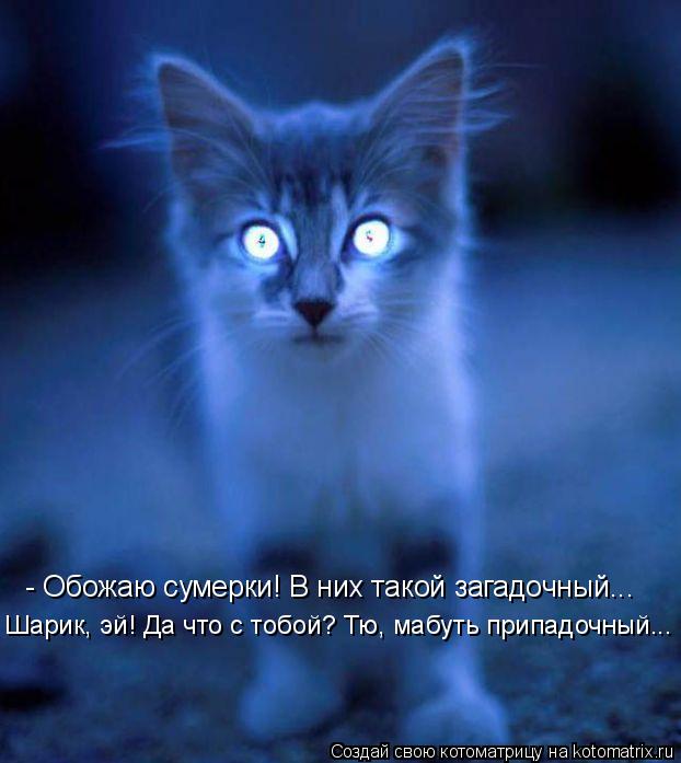 - Обожаю сумерки! В них такой загадочный... Шарик, эй! Да что с тобой? Тю, мабуть припадочный...... Котоматрица: - Обожаю сумерки! В них такой загадочный... Шарик, эй! Да что с тобой? Тю, мабуть припадочный...