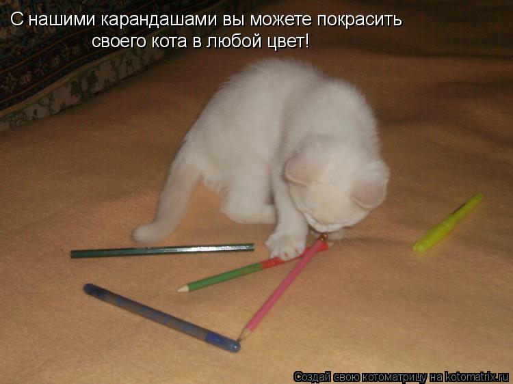 Котоматрица: С нашими карандашами вы можете покрасить своего кота в любой цвет!