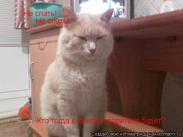 Котоматрица: Не спать! Не спать! Кто тогда к зачету готориться будет?