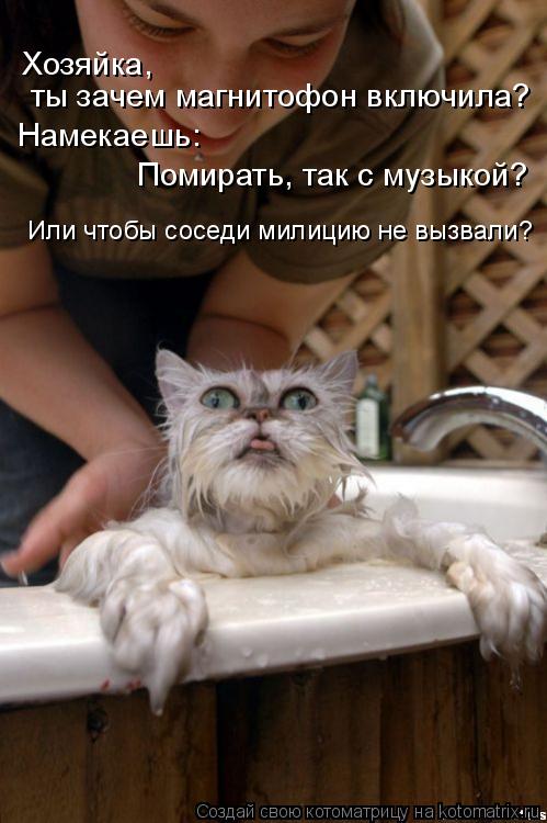 Котоматрица: Хозяйка,  ты зачем магнитофон включила?  Намекаешь:  Помирать, так с музыкой? Или чтобы соседи милицию не вызвали?