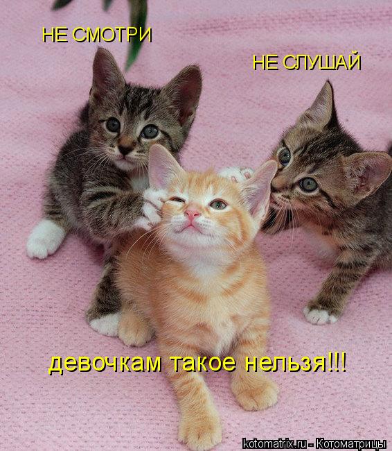 Котоматрица: НЕ СМОТРИ НЕ СЛУШАЙ девочкам такое нельзя!!!