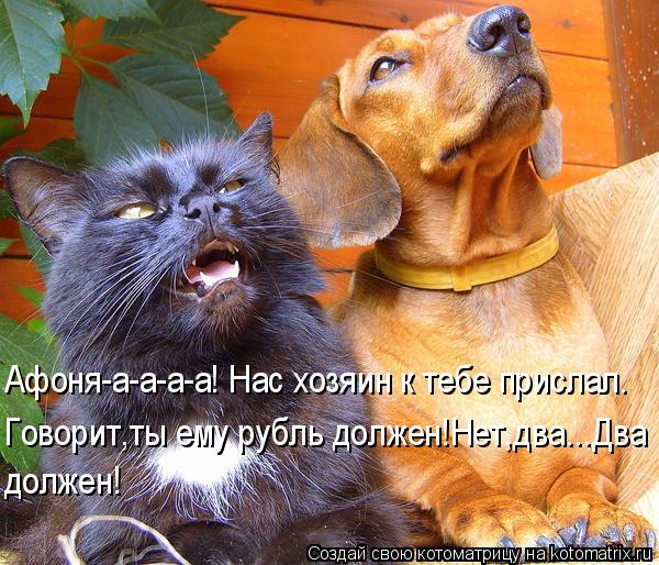 Котоматрица: Афоня-а-а-а-а! Нас хозяин к тебе прислал. Говорит,ты ему рубль должен!Нет,два...Два  должен!