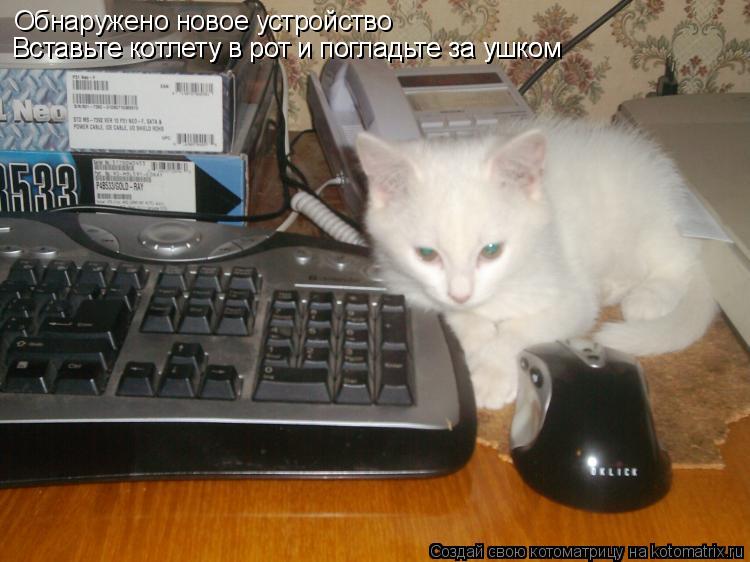 Котоматрица: Обнаружено новое устройство Вставьте котлету в рот и погладьте за ушком Вставьте котлету в рот и погладьте за ушком