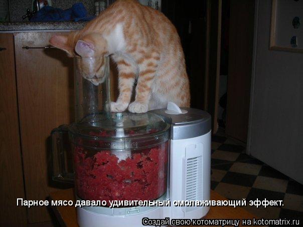 Котоматрица: Парное мясо давало удивительный омолаживающий эффект.