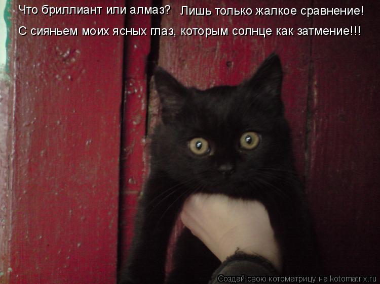 Котоматрица: Что бриллиант или алмаз?  Лишь только жалкое сравнение! С сияньем моих ясных глаз, которым солнце как затмение!!!