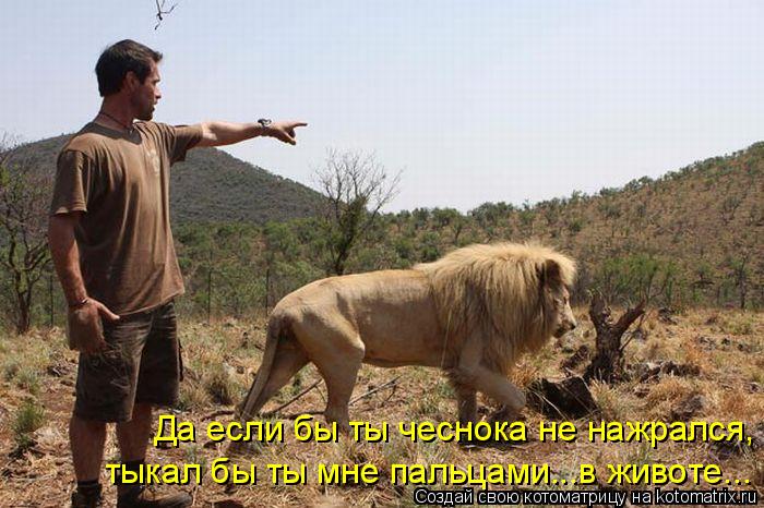 Котоматрица: Да если бы ты чеснока не нажрался, тыкал бы ты мне пальцами...в животе...