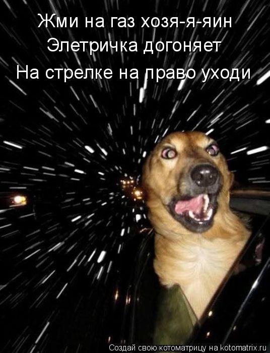 Котоматрица: Жми на газ хозя-я-яин Элетричка догоняет На стрелке на право уходи