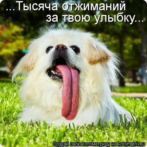 Котоматрица: ...Тысяча отжиманий за твою улыбку...