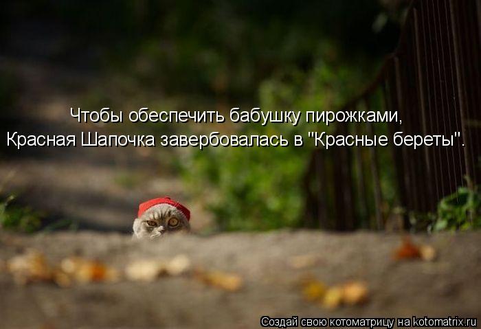 Котоматрица: Чтобы обеспечить бабушку пирожками, Красная Шапочка завербовалась в "Красные береты".