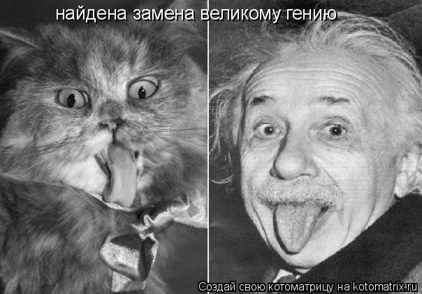 Котоматрица: найдена замена великому гению