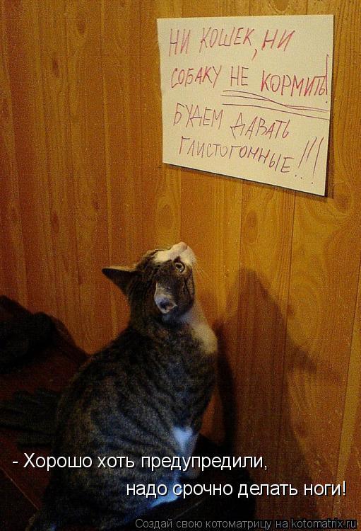 Котоматрица: - Хорошо хоть предупредили,  надо срочно делать ноги!