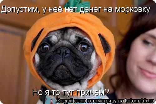 Котоматрица: Допустим, у неё нет денег на морковку Но я то тут причем?