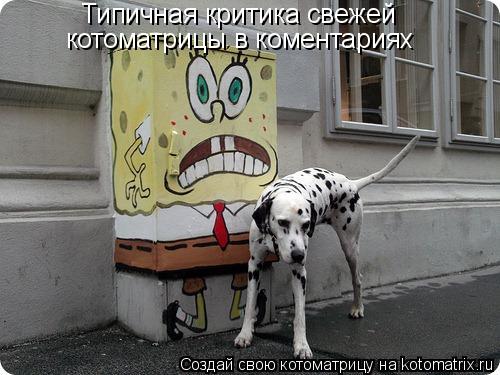 Котоматрица: Типичная критика свежей котоматрицы в коментариях