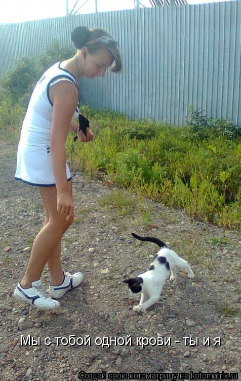Котоматрица: Мы с тобой одной крови - ты и я