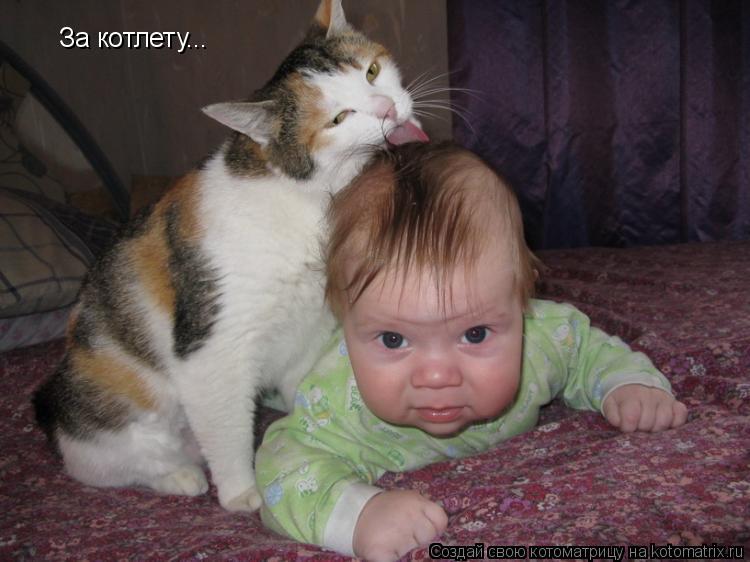 Котоматрица: За котлету...