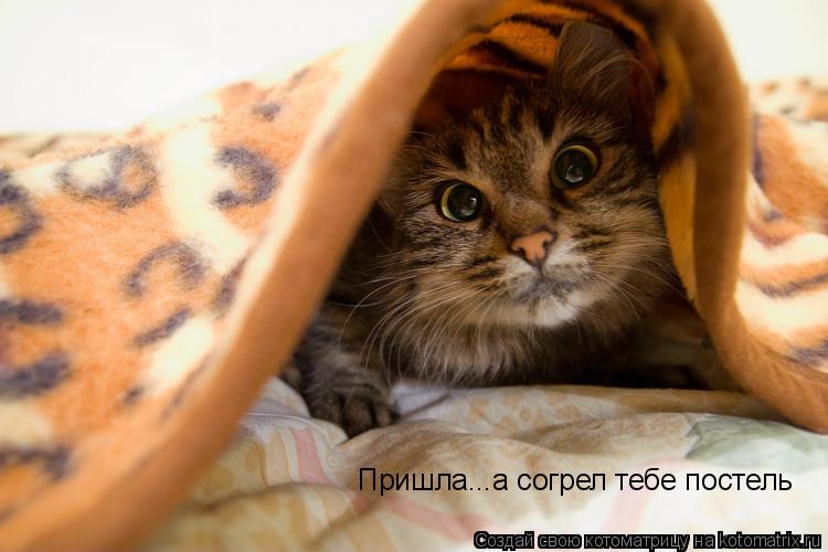 Котоматрица: Пришла...а согрел тебе постель