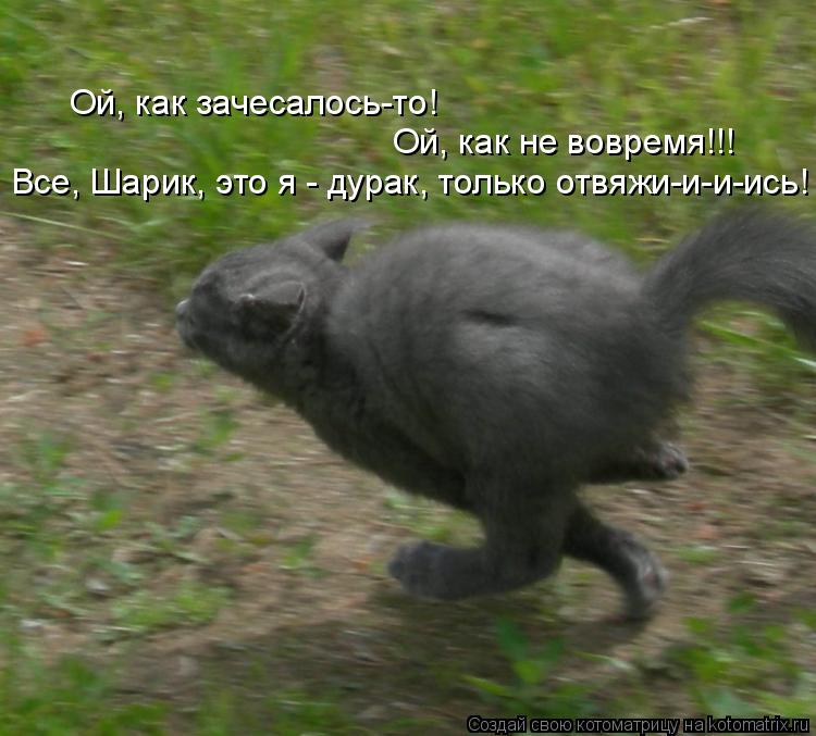 Все, Шарик, это я - дурак, только отвяжи-и-и-ись! Ой, как зачесалось-то! Ой, как не вовремя!!!... Котоматрица: Все, Шарик, это я - дурак, только отвяжи-и-и-ись! Ой, как зачесалось-то! Ой, как не вовремя!!!