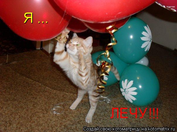 Я ... ЛЕЧУ !!!... Котоматрица: Я ... ЛЕЧУ !!!