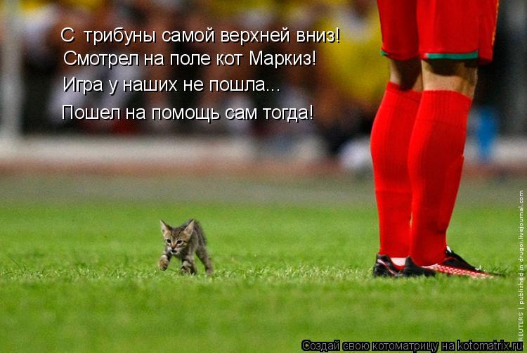 С трибуны самой верхней вниз! Смотрел на поле кот Маркиз! Игра у наших не пошла... Пошел на помощь с... Котоматрица: С трибуны самой верхней вниз! Смотрел на поле кот Маркиз! Игра у наших не пошла... Пошел на помощь сам тогда!