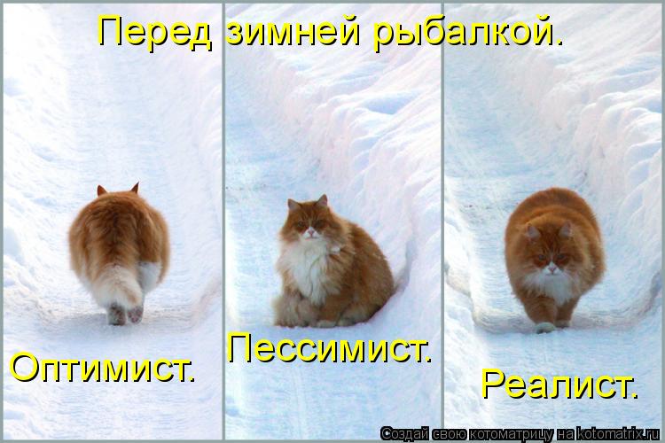 Перед зимней рыбалкой. Оптимист. Пессимист. Реалист.... Котоматрица: Перед зимней рыбалкой. Оптимист. Пессимист. Реалист.