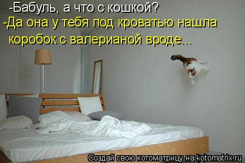 -Бабуль, а что с кошкой? -Да она у тебя под кроватью нашла коробок с валерианой вроде...... Котоматрица: -Бабуль, а что с кошкой? -Да она у тебя под кроватью нашла коробок с валерианой вроде...