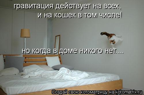 гравитация действует на всех, и на кошек в том числе! но когда в доме никого нет....... Котоматрица: гравитация действует на всех, и на кошек в том числе! но когда в доме никого нет....