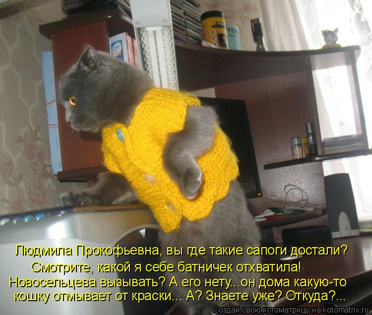 Котоматрица: кошку отмывает от краски... А? Знаете уже? Откуда?... Новосельцева вызывать? А его нету...он дома какую-то Смотрите, какой я себе батничек отхват