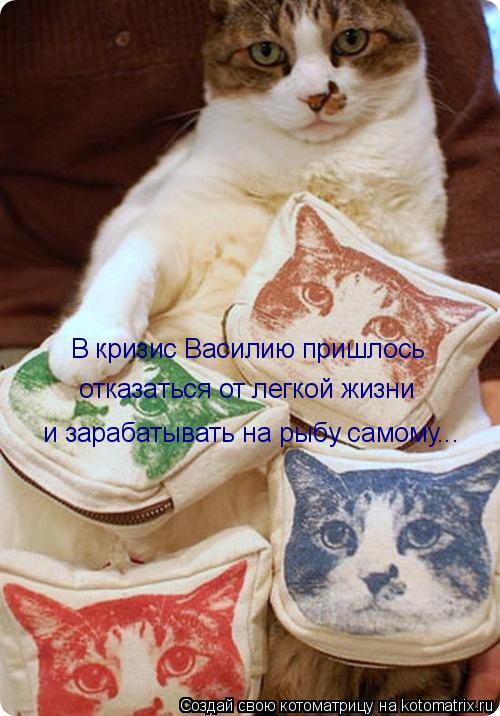 В кризис Василию пришлось отказаться от легкой жизни и зарабатывать на рыбу самому...... Котоматрица: В кризис Василию пришлось отказаться от легкой жизни и зарабатывать на рыбу самому...