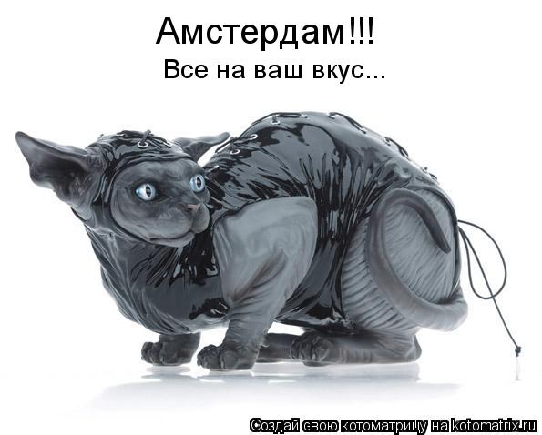 Котоматрица: Амстердам!!!  Все на ваш вкус...