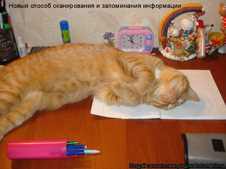 Котоматрица: Новый способ сканирования и запоминания информации ....